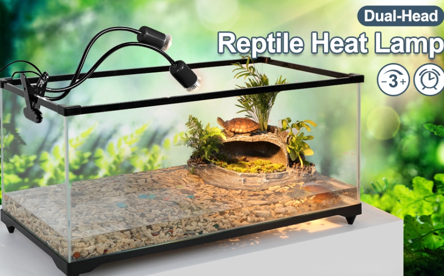 reptile heat lamp