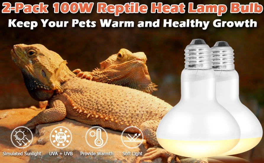 reptile heat lamp safety reptile heat lamp safety