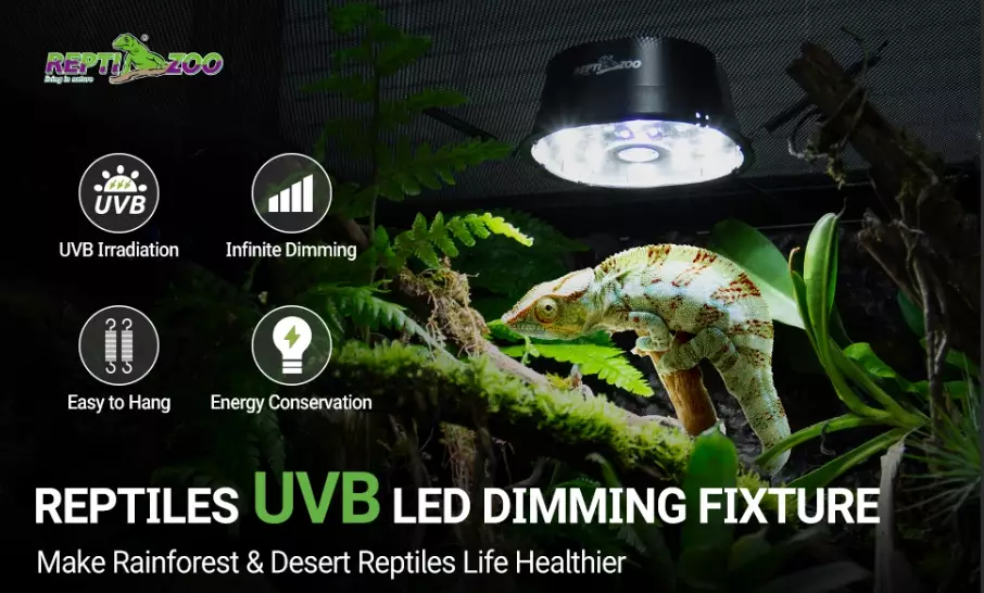 Is it safe to leave a reptile heat lamp on all day?