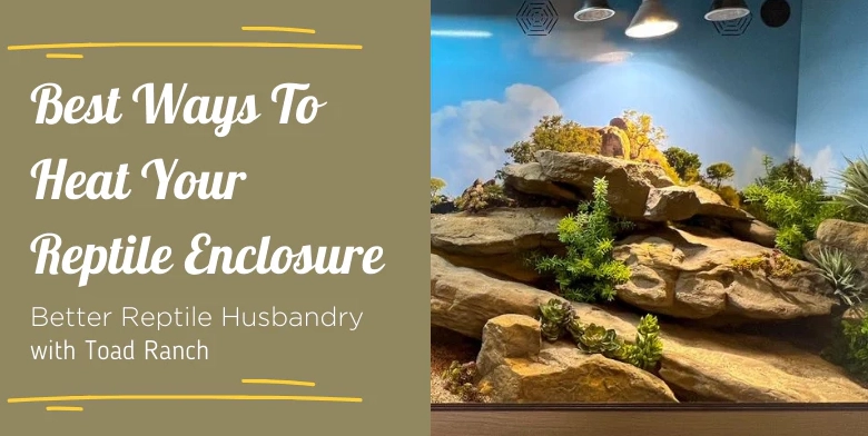 How to heat up a reptile enclosure?