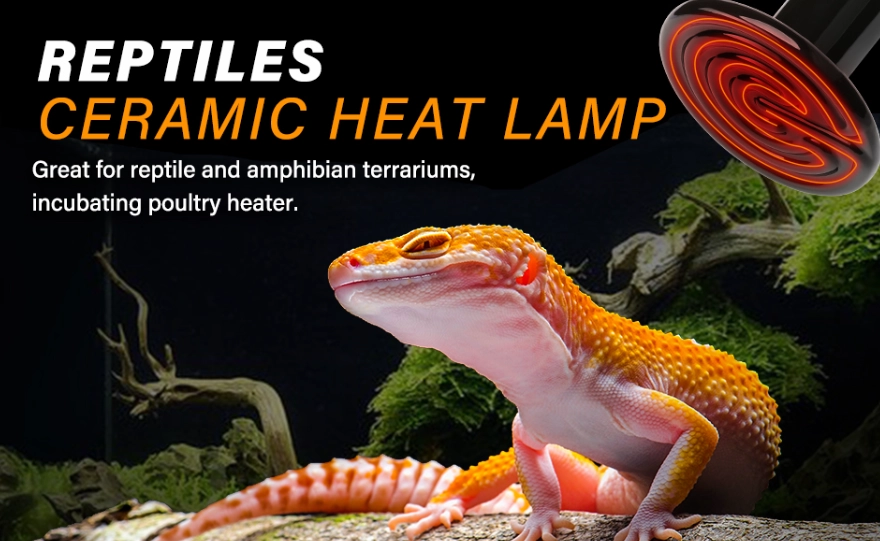 heat lamp on all day heat lamp on all day
