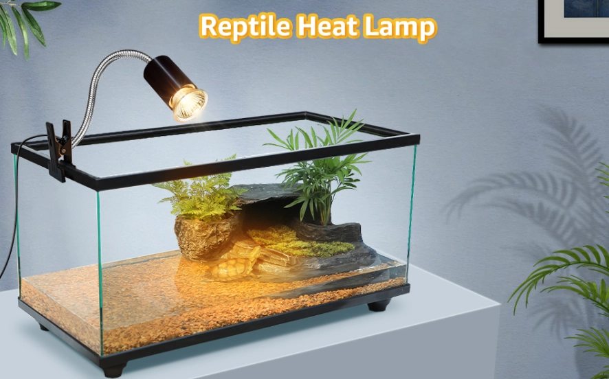 heat lamp on all day heat lamp on all day