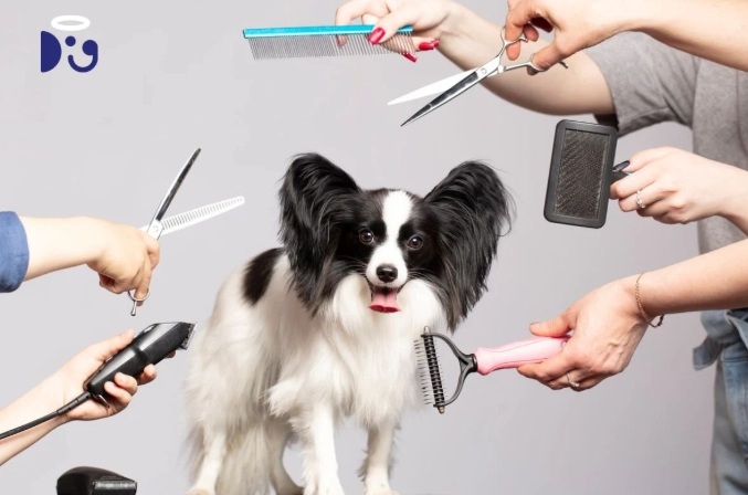 rule of 5 dog grooming