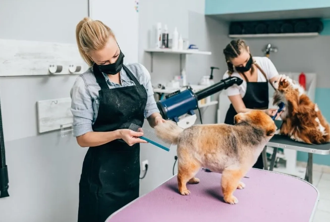 tipping for pet grooming