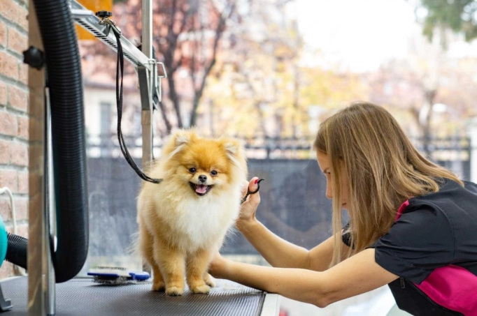 how much to tip a dog groomer