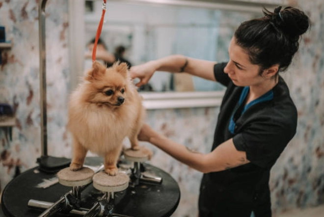 tipping for pet grooming