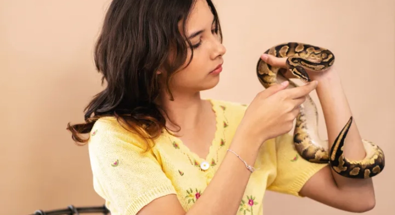 easy pet snakes