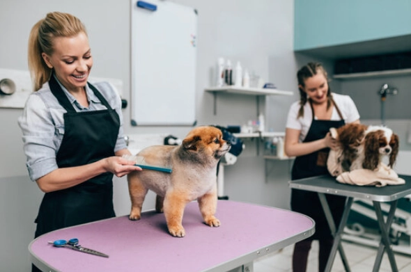dog groomer tip etiquette