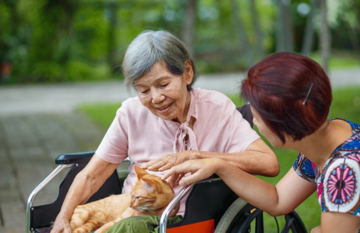 low maintenance pets for apartments