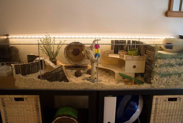best hamster cage