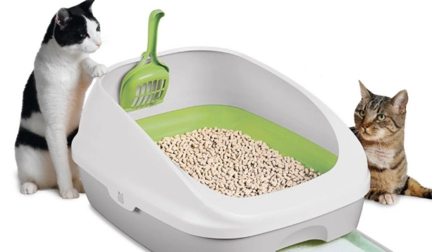 cat litter alternatives