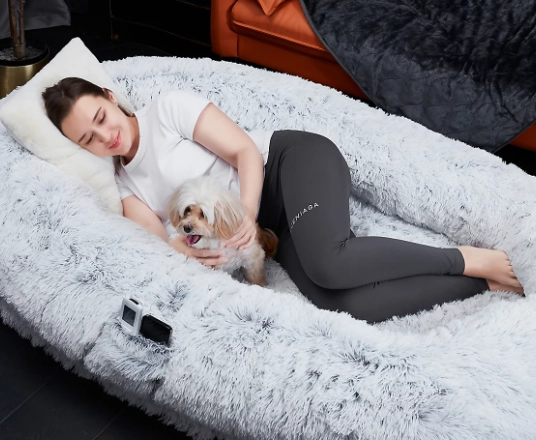 pet ideas for adults