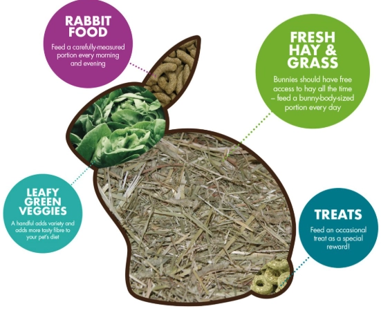 healthy rabbit food
