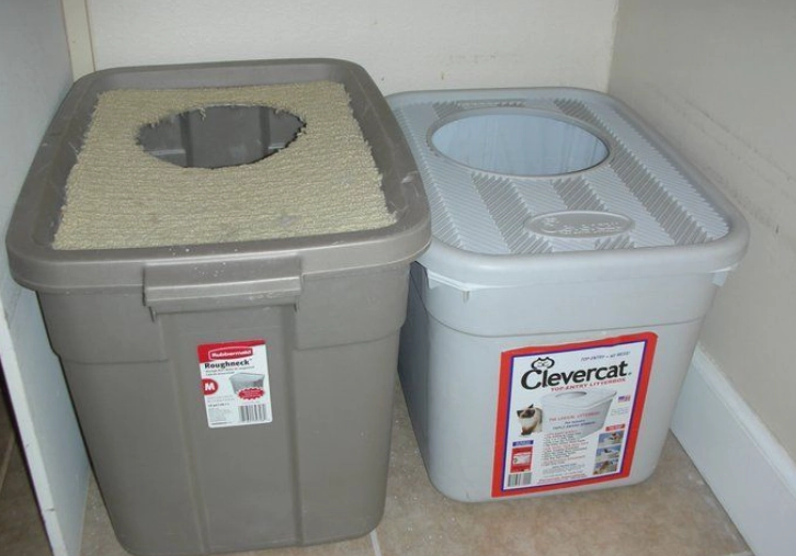 how to train cat to use toilet