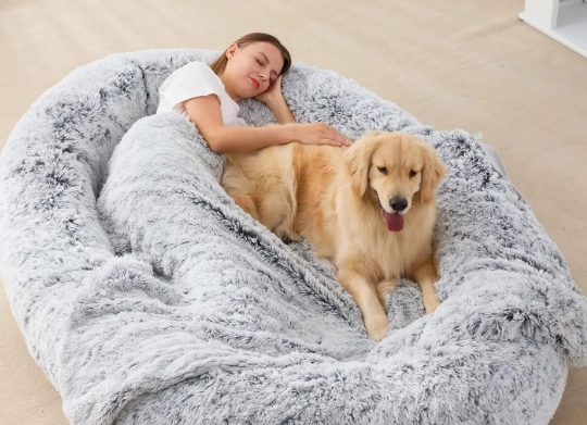 best pets for busy adults