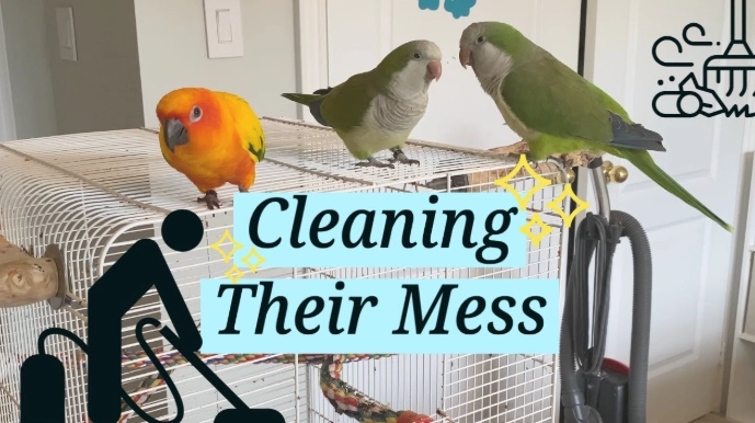 bird cage cleaning supplies