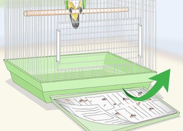 how to clean a bird cage