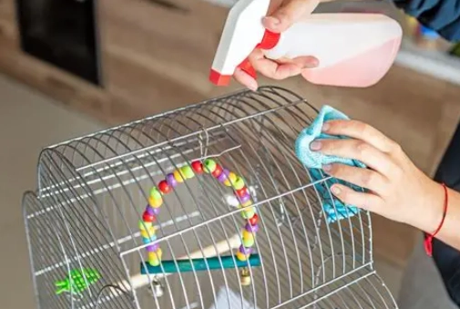 how to clean a bird cage