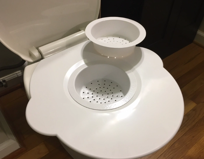 cat toilet training cat toilet training