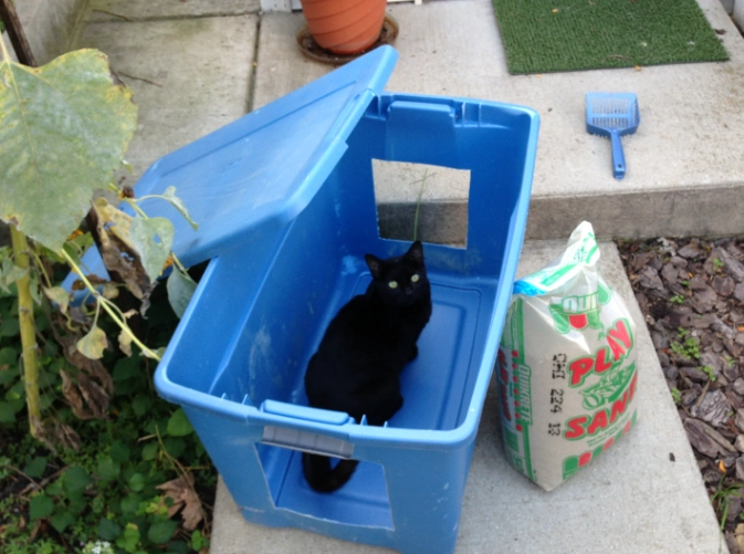 DIY cat litter box