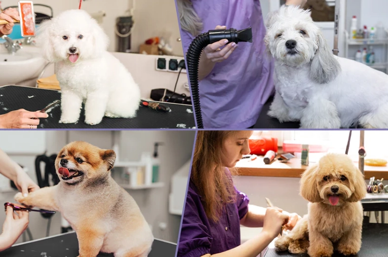 is $5 tip good for dog groomer