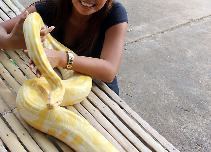 how to hold a snake for the first time