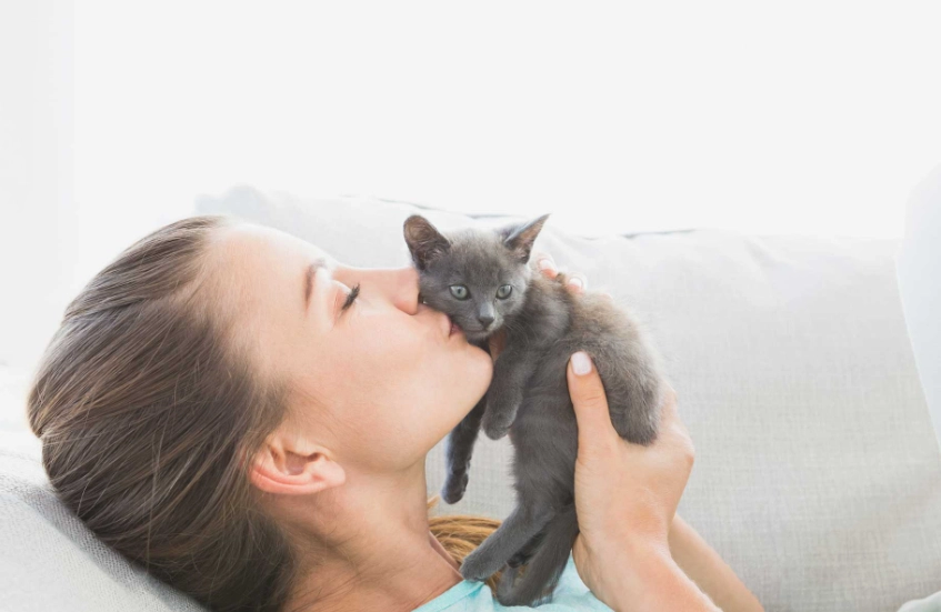 new kitten checklist