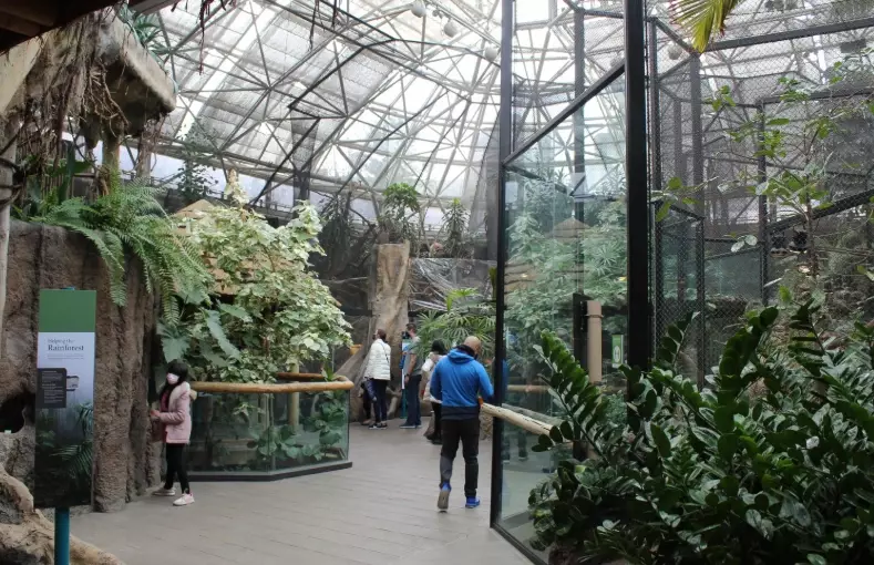 small pet enclosure ideas small pet enclosure ideas