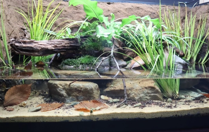 small pet enclosure ideas small pet enclosure ideas