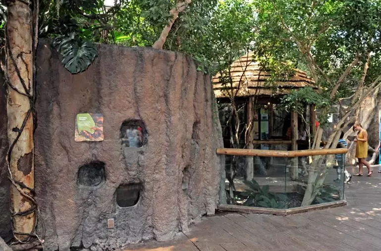 small pet enclosure ideas small pet enclosure ideas