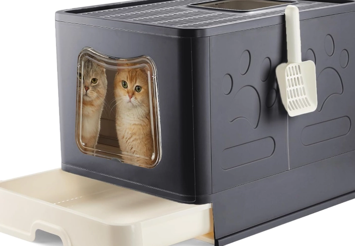 best kitten litter box