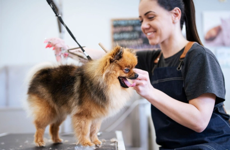 professional grooming tips