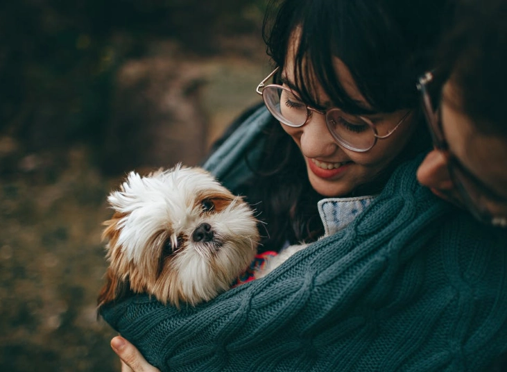 silent killers in dogs