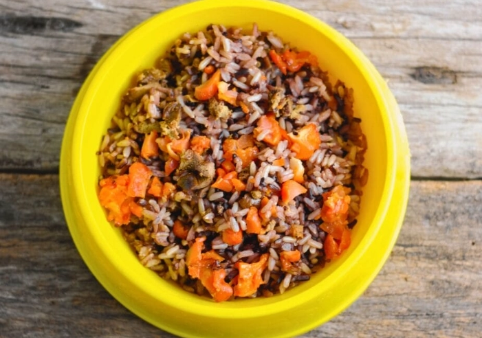 what to put on dog for itching