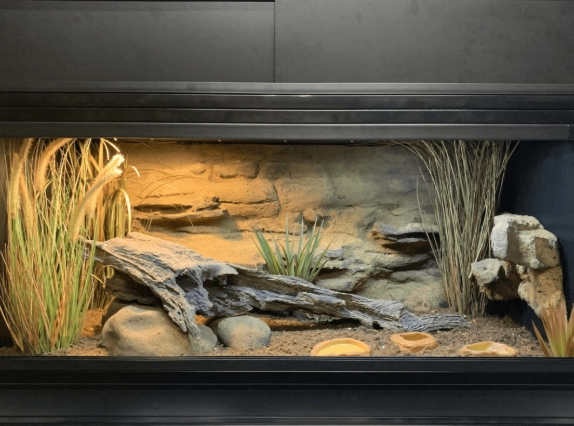 how to set up a reptile tank