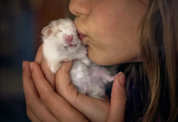 small pets that like to be held