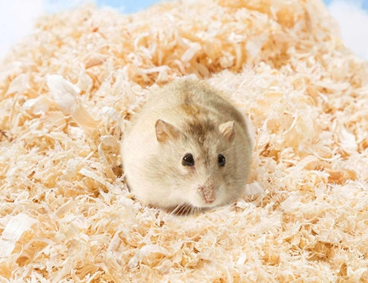 hamster bedding types
