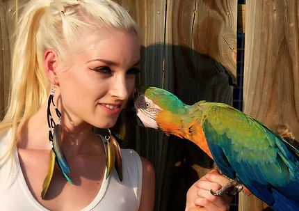 Master Bird Photography Composition: The 60/40 Rule Explained