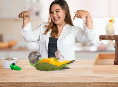 Bird training clicker and stick