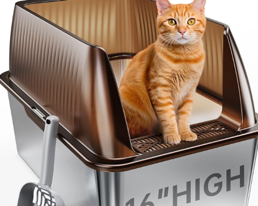 adult cat not using litter box