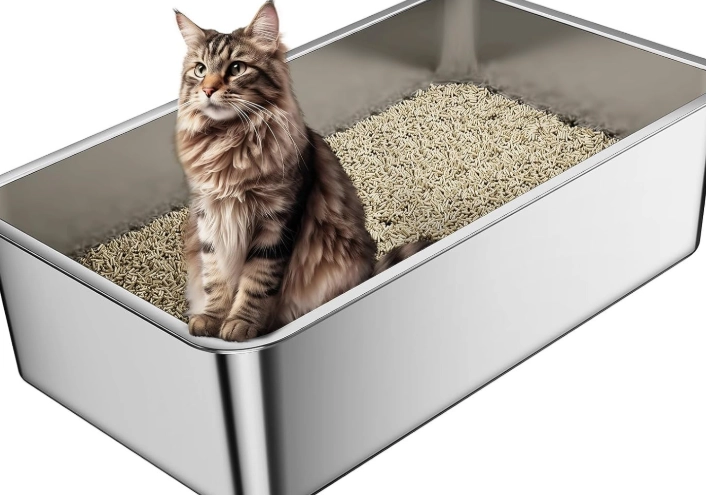 how to train older cat to use litter box