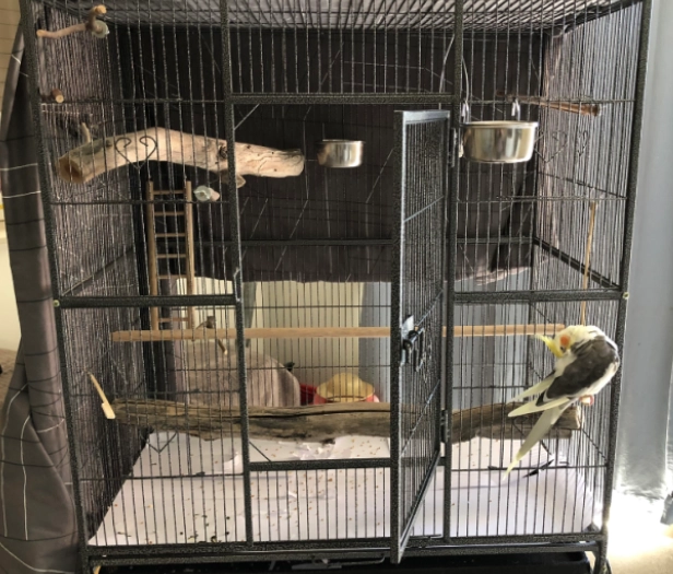 easy to clean bird cage