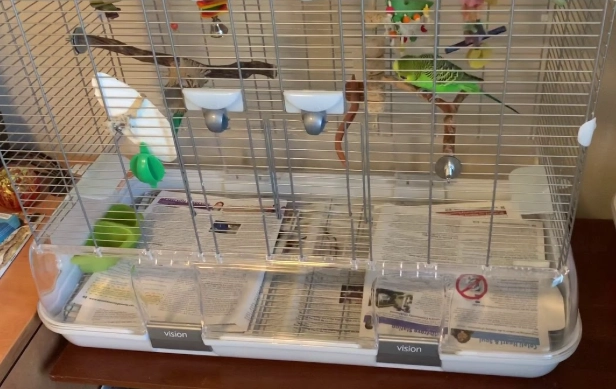 easy clean bird cage