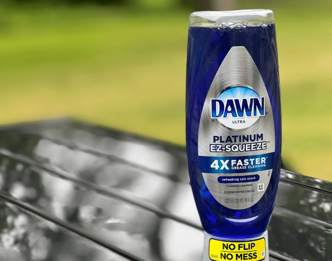 Is Dawn Dish Soap Safe for Bird Cages? The Ultimate Safety & Cleaning Guide