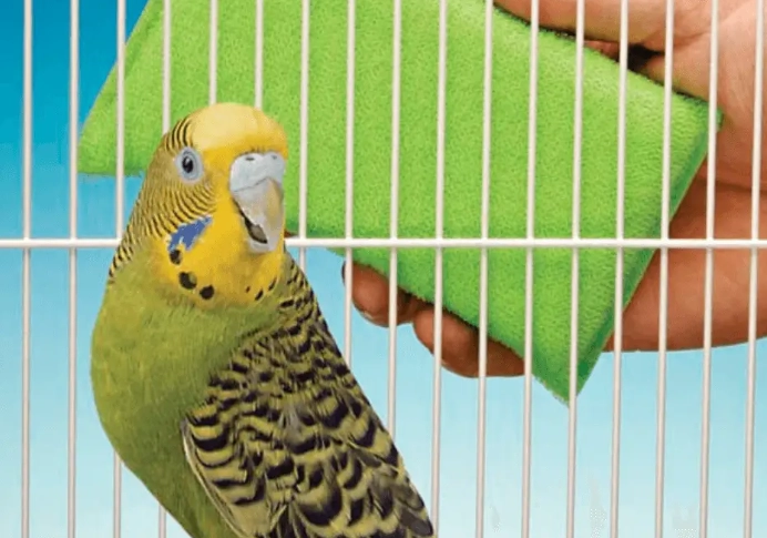 easy to clean bird cage