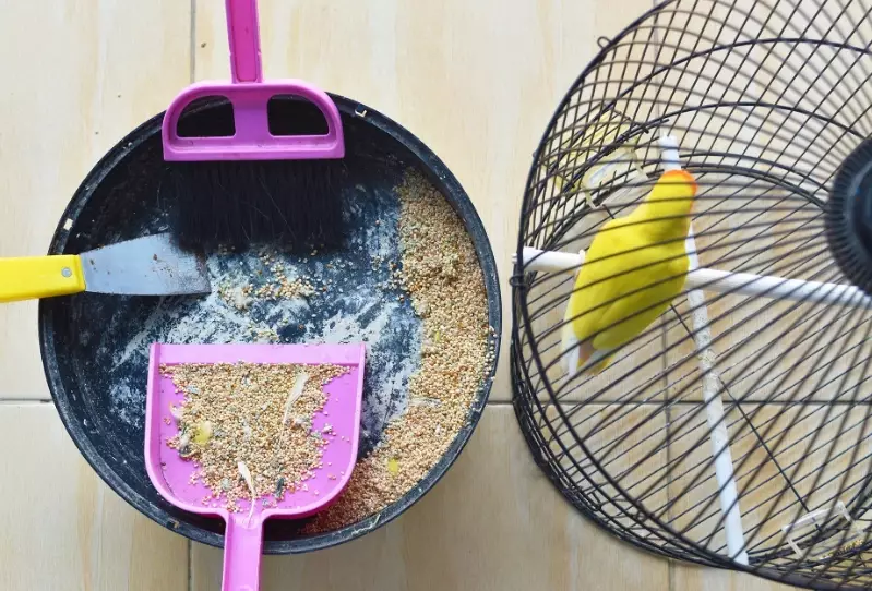 vinegar bird cage cleaner