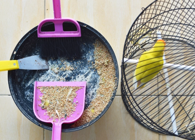 The Ultimate Guide: How Often to Clean Your Bird Cage