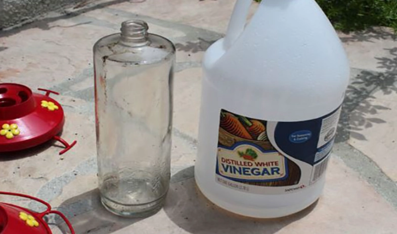 Vinegar for Bird Cage Cleaning: Safety, Steps, and Alternatives