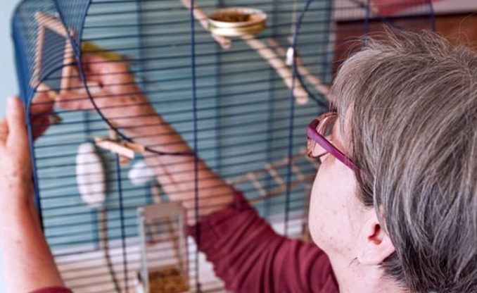 Self-Cleaning Bird Cages: How They Work & Are They Worth It?