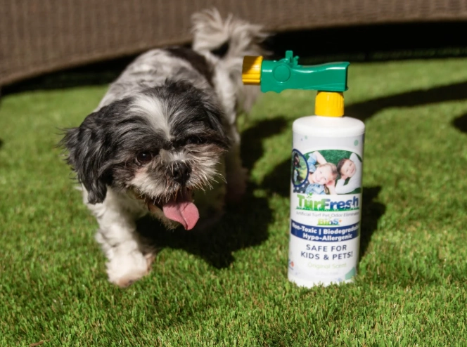 how to disinfect bird cage